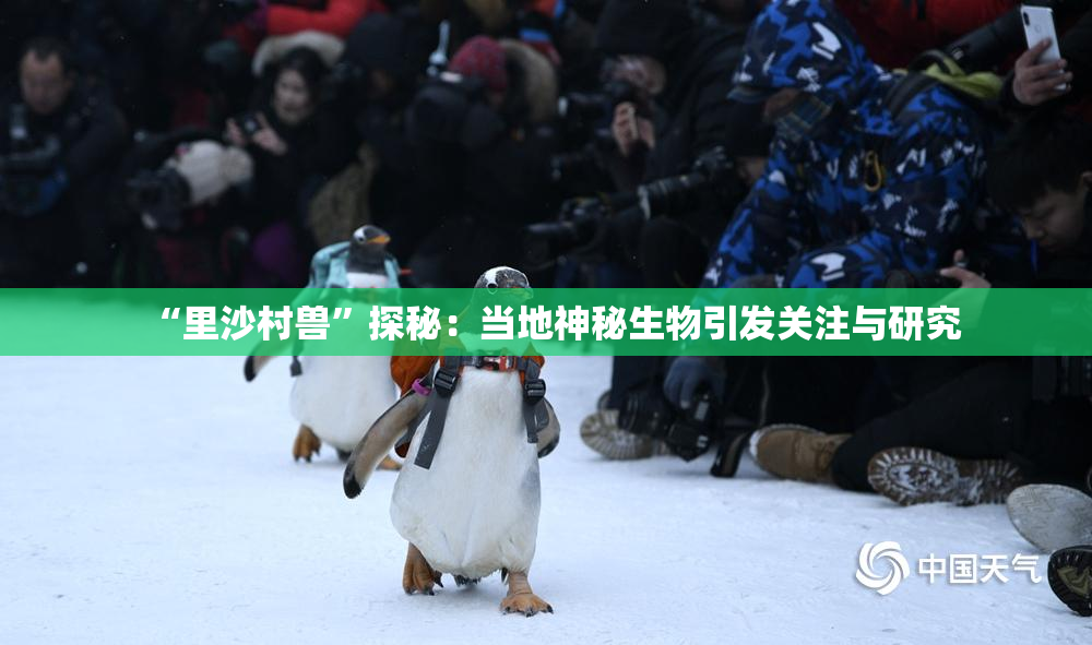 “里沙村兽”探秘：当地神秘生物引发关注与研究