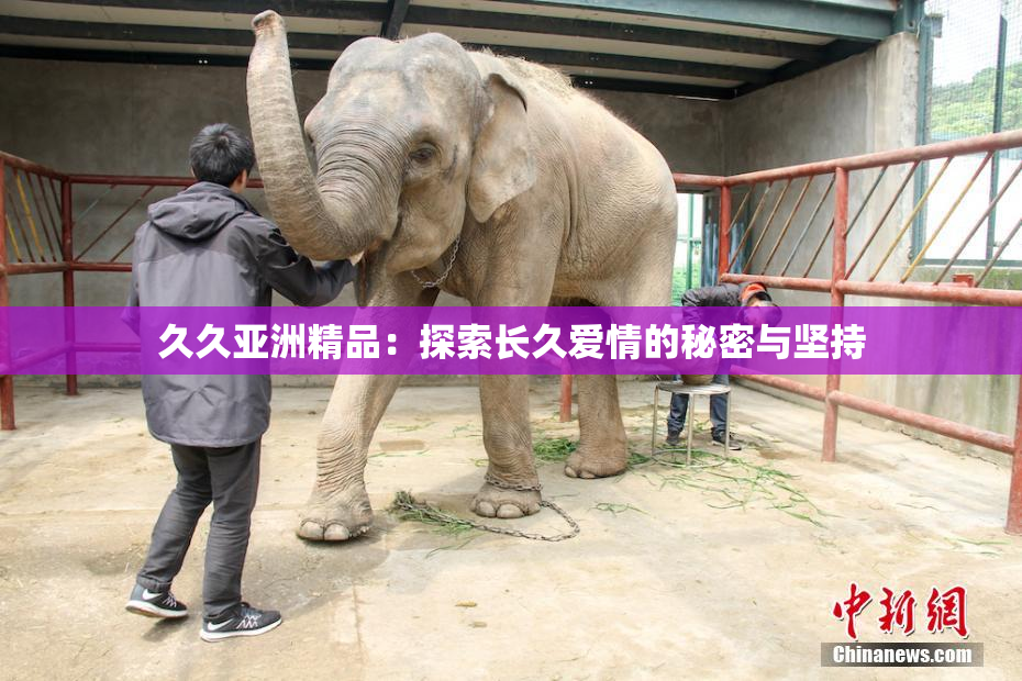 久久亚洲精品：探索长久爱情的秘密与坚持