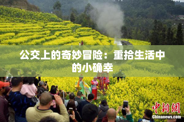 公交上的奇妙冒险：重拾生活中的小确幸