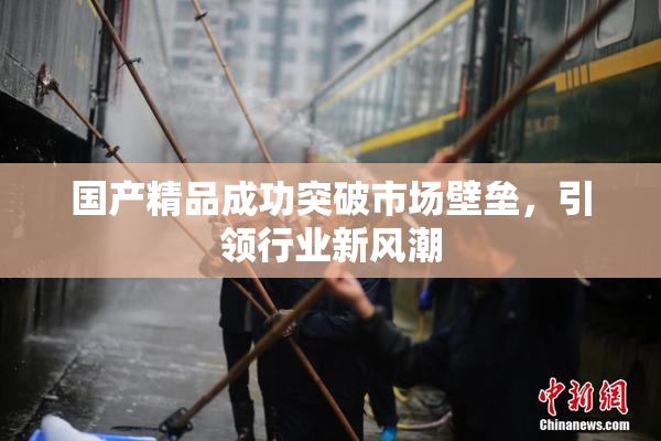 国产精品成功突破市场壁垒，引领行业新风潮