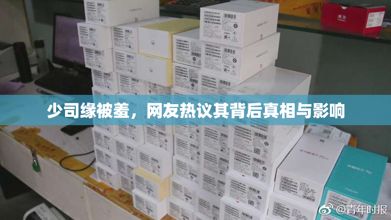 少司缘被羞，网友热议其背后真相与影响
