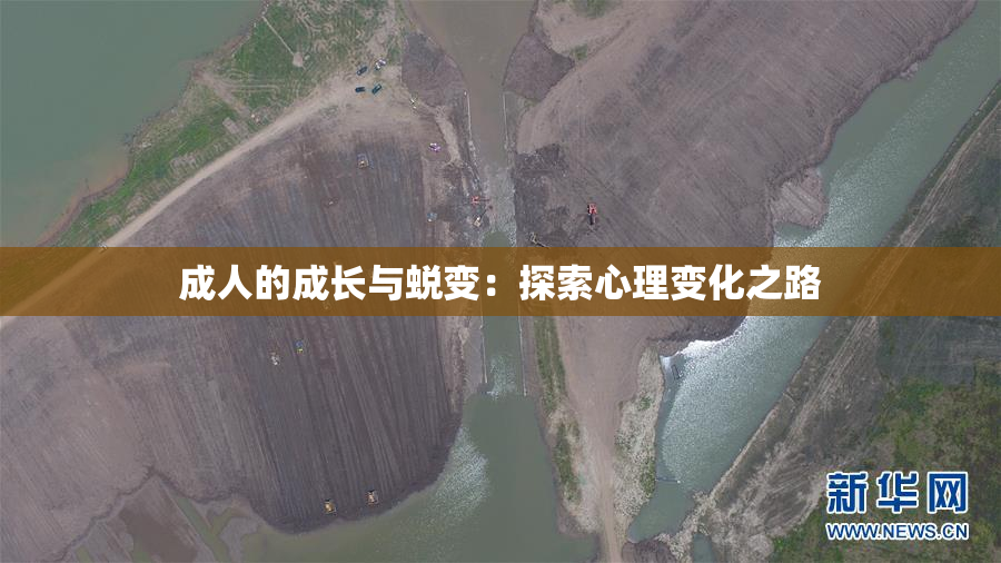 成人的成长与蜕变：探索心理变化之路