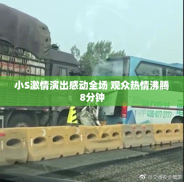 小S激情演出感动全场 观众热情沸腾8分钟