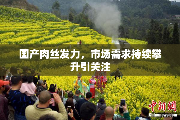 国产肉丝发力，市场需求持续攀升引关注