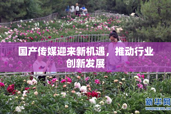 国产传媒迎来新机遇，推动行业创新发展