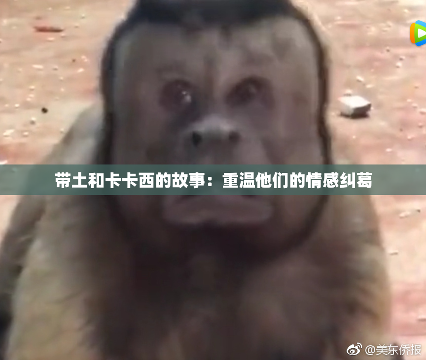 带土和卡卡西的故事：重温他们的情感纠葛