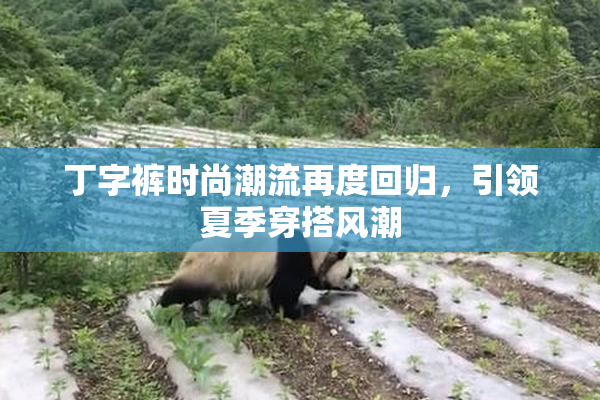 丁字裤时尚潮流再度回归，引领夏季穿搭风潮