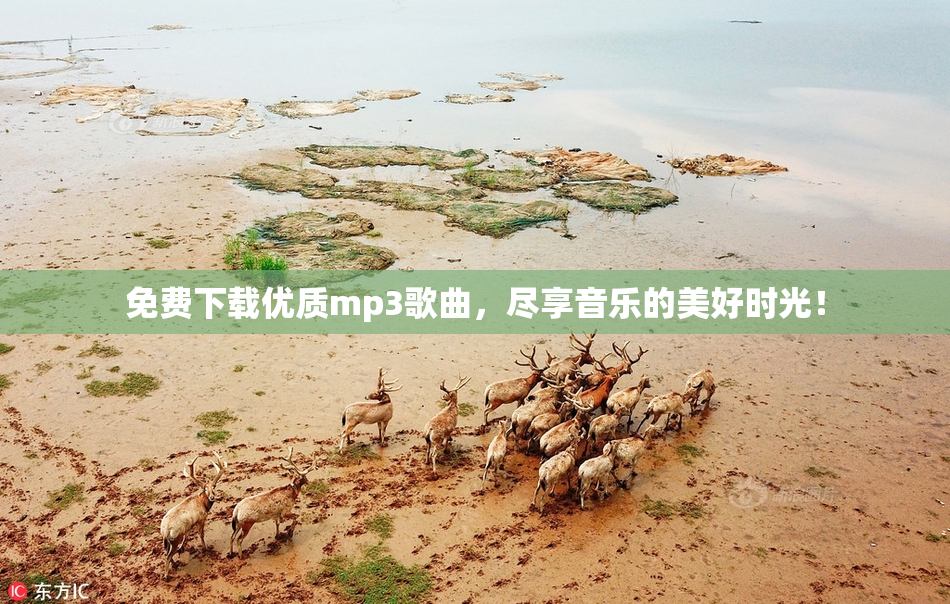 免费下载优质mp3歌曲，尽享音乐的美好时光！
