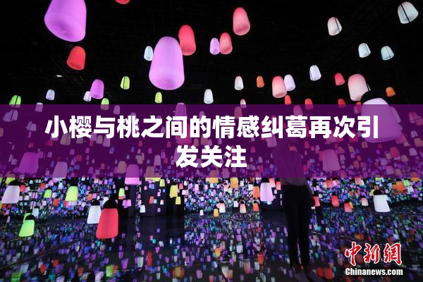 小樱与桃之间的情感纠葛再次引发关注