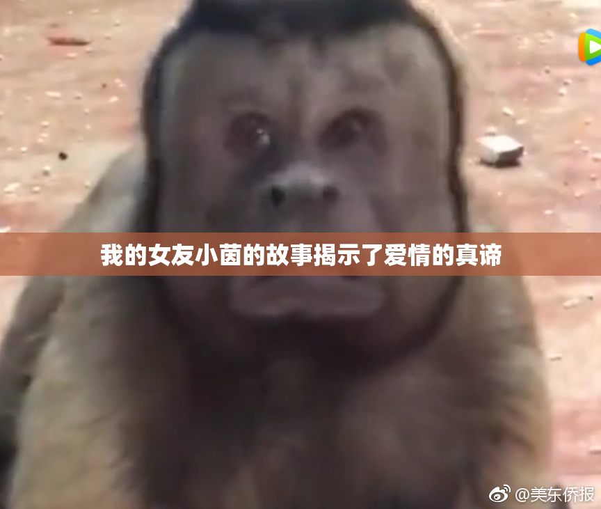 我的女友小茵的故事揭示了爱情的真谛