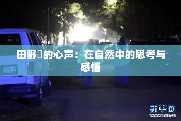 田野憂的心声：在自然中的思考与感悟