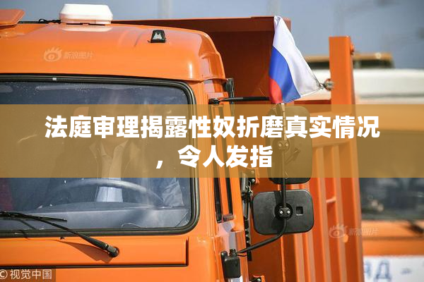 法庭审理揭露性奴折磨真实情况，令人发指