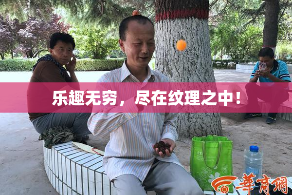乐趣无穷，尽在纹理之中！