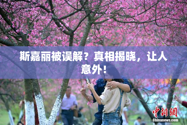 斯嘉丽被误解？真相揭晓，让人意外！