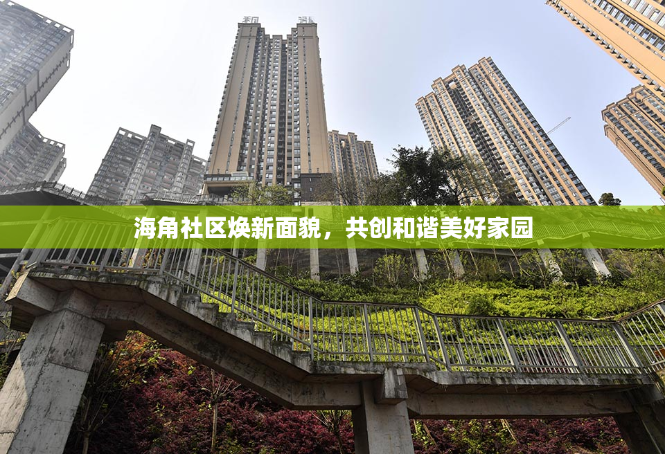 海角社区焕新面貌，共创和谐美好家园