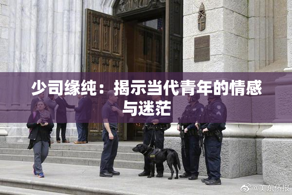 少司缘纯：揭示当代青年的情感与迷茫
