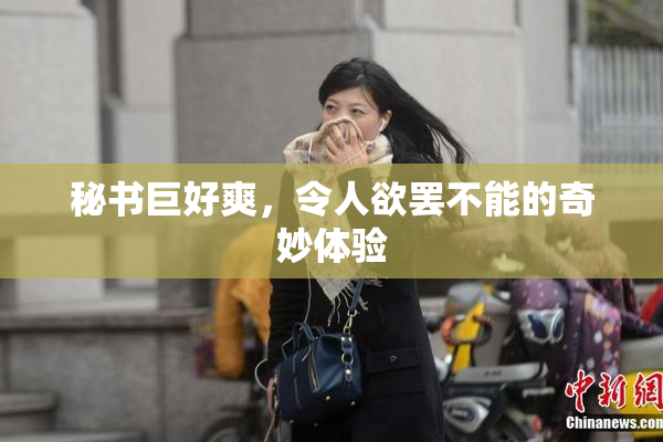 秘书巨好爽，令人欲罢不能的奇妙体验