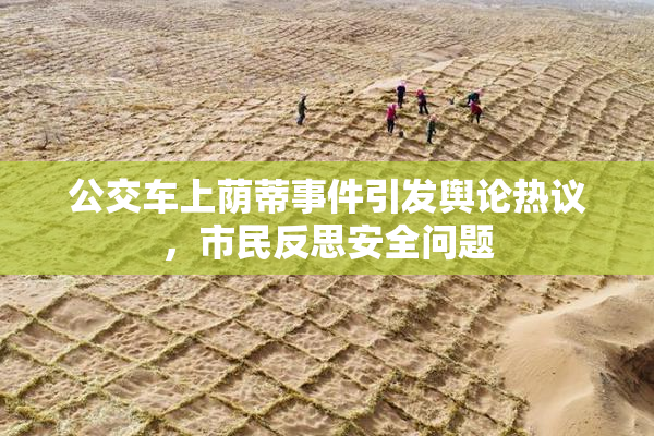 公交车上荫蒂事件引发舆论热议，市民反思安全问题