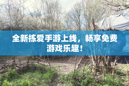 全新拣爱手游上线，畅享免费游戏乐趣！