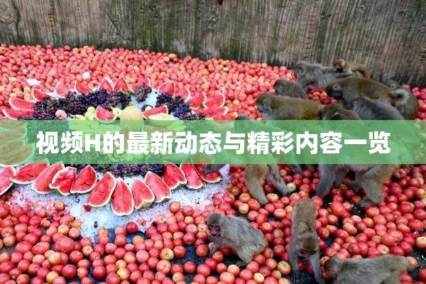 视频H的最新动态与精彩内容一览