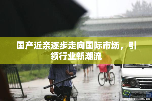 国产近亲逐步走向国际市场，引领行业新潮流