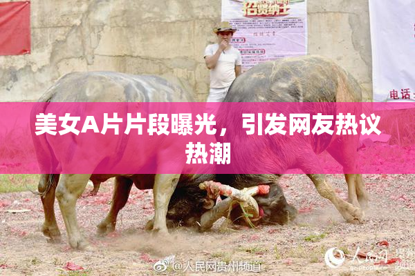 美女A片片段曝光，引发网友热议热潮