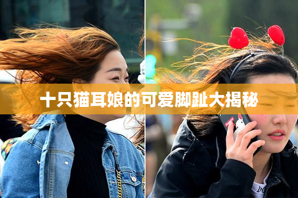 十只猫耳娘的可爱脚趾大揭秘