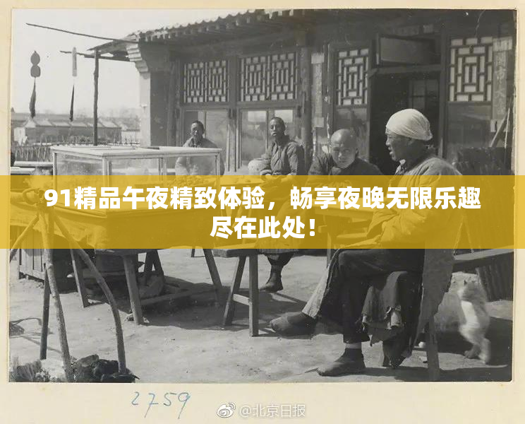 91精品午夜精致体验，畅享夜晚无限乐趣尽在此处！