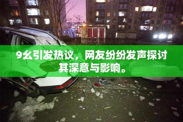 9幺引发热议，网友纷纷发声探讨其深意与影响。