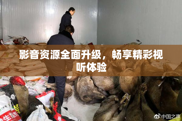影音资源全面升级，畅享精彩视听体验