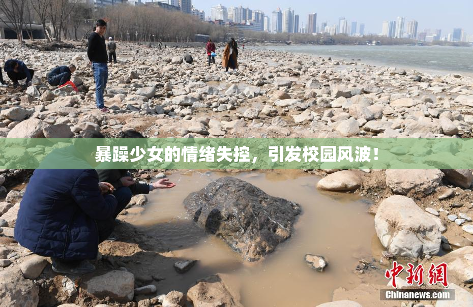 暴躁少女的情绪失控，引发校园风波！