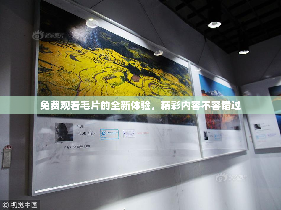 免费观看毛片的全新体验，精彩内容不容错过