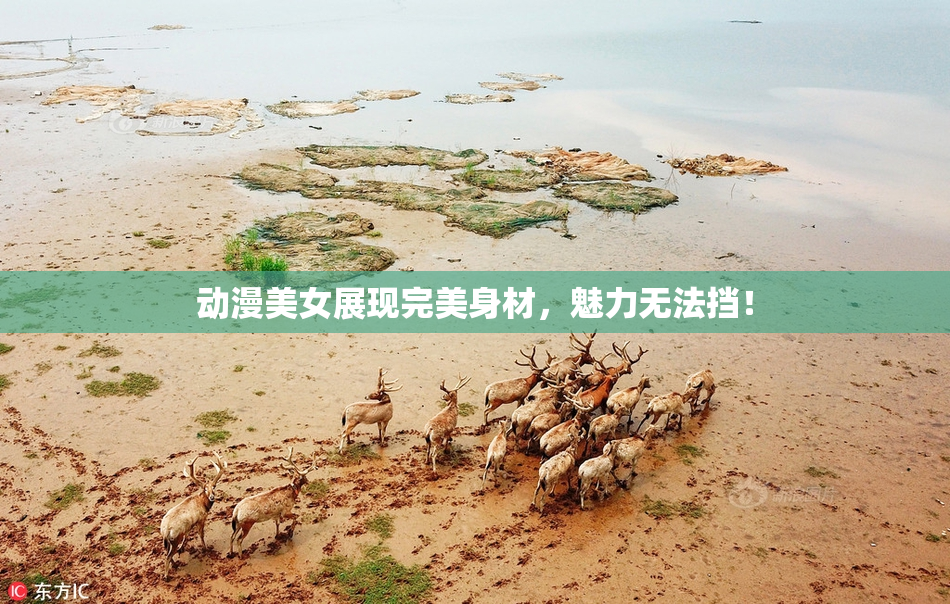 动漫美女展现完美身材，魅力无法挡！