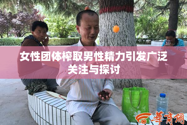 女性团体榨取男性精力引发广泛关注与探讨
