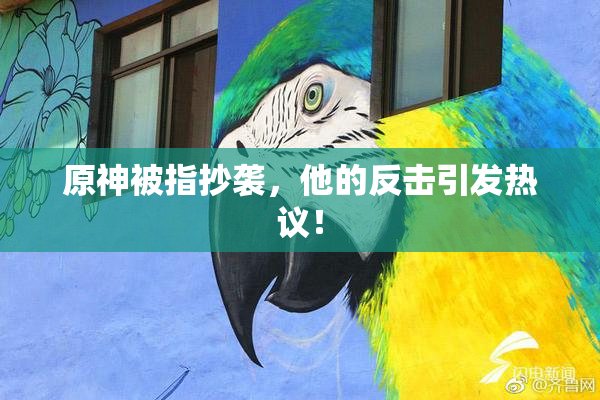 原神被指抄袭，他的反击引发热议！