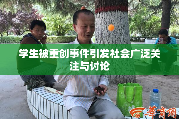 学生被重创事件引发社会广泛关注与讨论