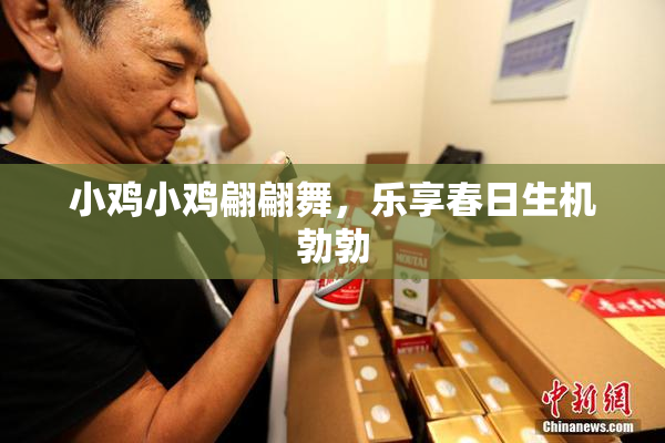 小鸡小鸡翩翩舞，乐享春日生机勃勃