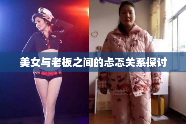 美女与老板之间的忐忑关系探讨