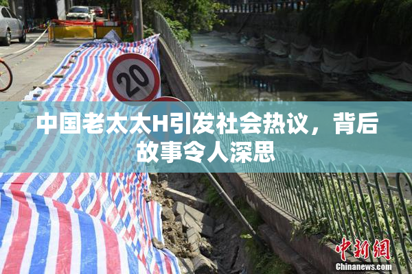 中国老太太H引发社会热议，背后故事令人深思