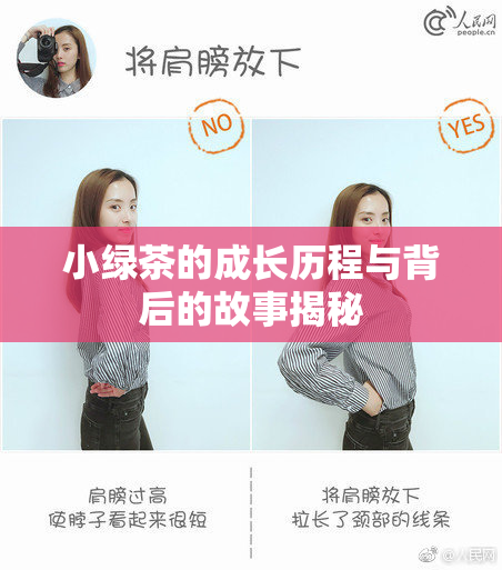 小绿茶的成长历程与背后的故事揭秘