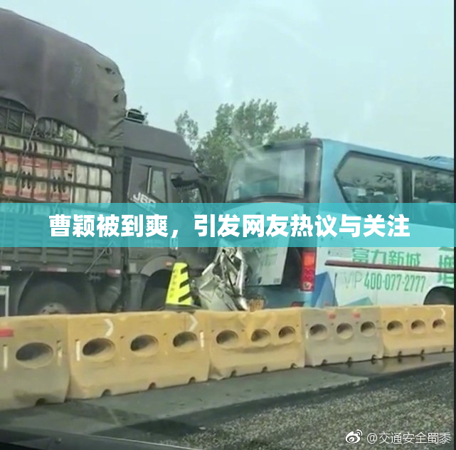 曹颖被到爽，引发网友热议与关注