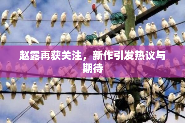 赵露再获关注，新作引发热议与期待