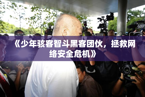 《少年骇客智斗黑客团伙，拯救网络安全危机》