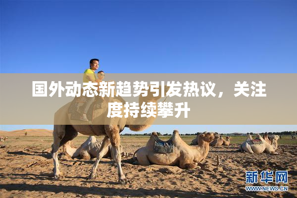 国外动态新趋势引发热议，关注度持续攀升