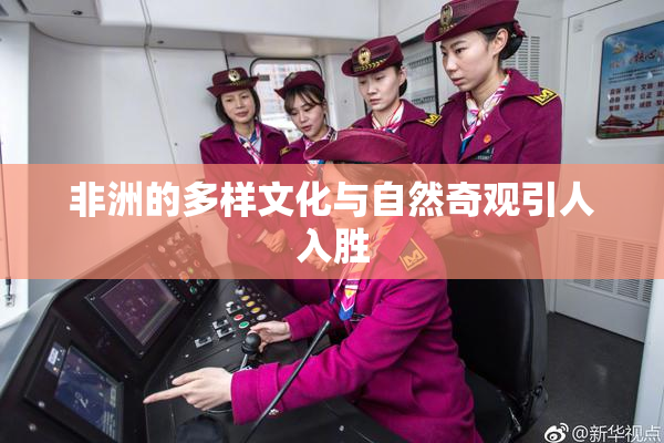 非洲的多样文化与自然奇观引人入胜