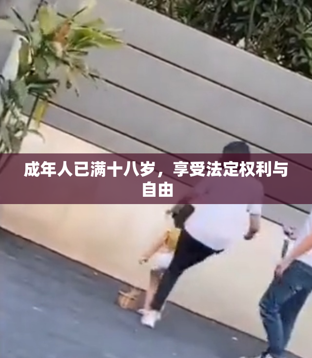成年人已满十八岁，享受法定权利与自由