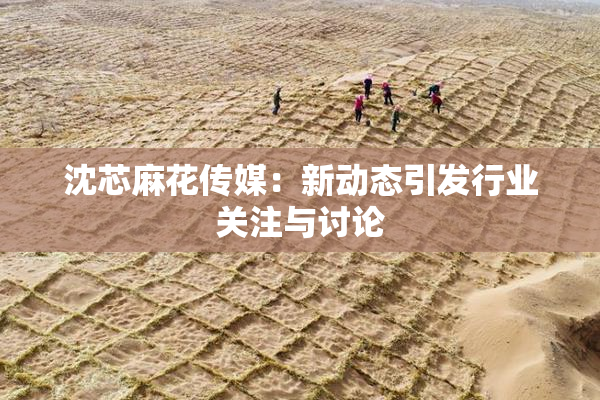 沈芯麻花传媒：新动态引发行业关注与讨论