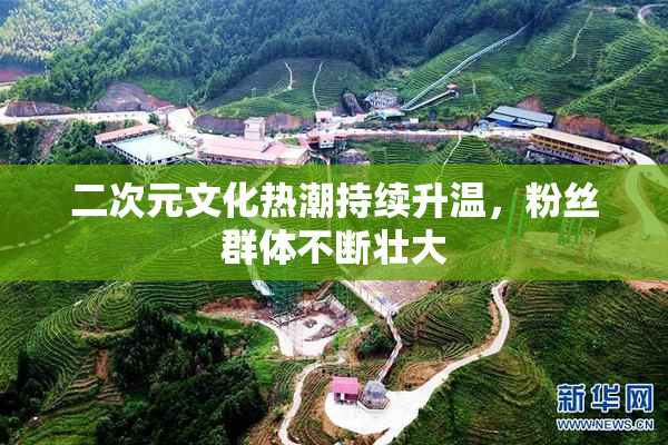二次元文化热潮持续升温，粉丝群体不断壮大
