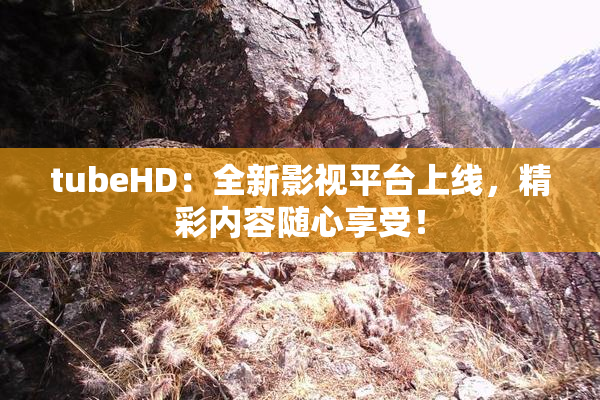 tubeHD：全新影视平台上线，精彩内容随心享受！
