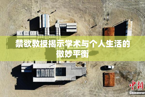 禁欲教授揭示学术与个人生活的微妙平衡
